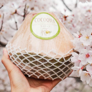 Cocoqua ココナッツ
