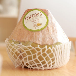 Cocoqua ココナッツ